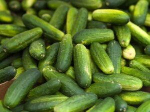 Cucumbers