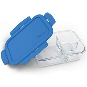 Glass Lunch Container
