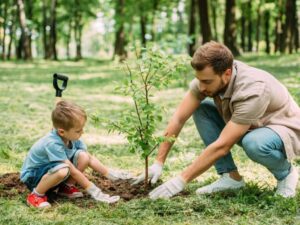 Plant trees in the right places.