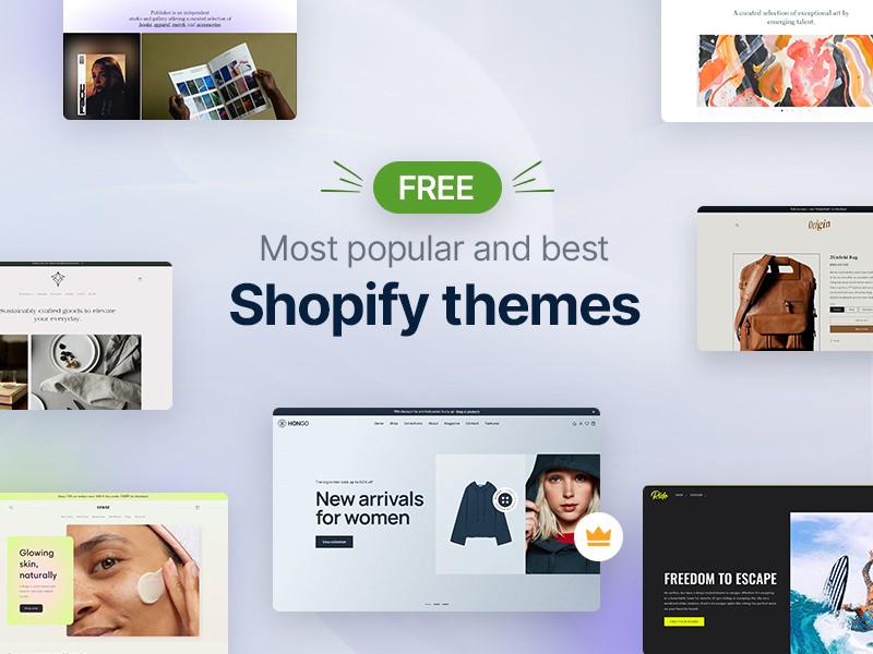 shopify theme3